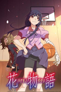 hanamonogatari_picture